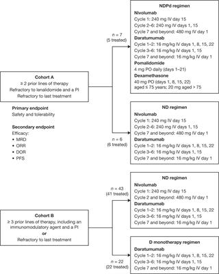 Nivolumab and daratumumab combination regimens for the treatment of relapsed and refractory multiple myeloma: results of a randomized phase I/II clinical trial